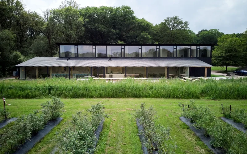 Boshuis blankwater vooraanzicht