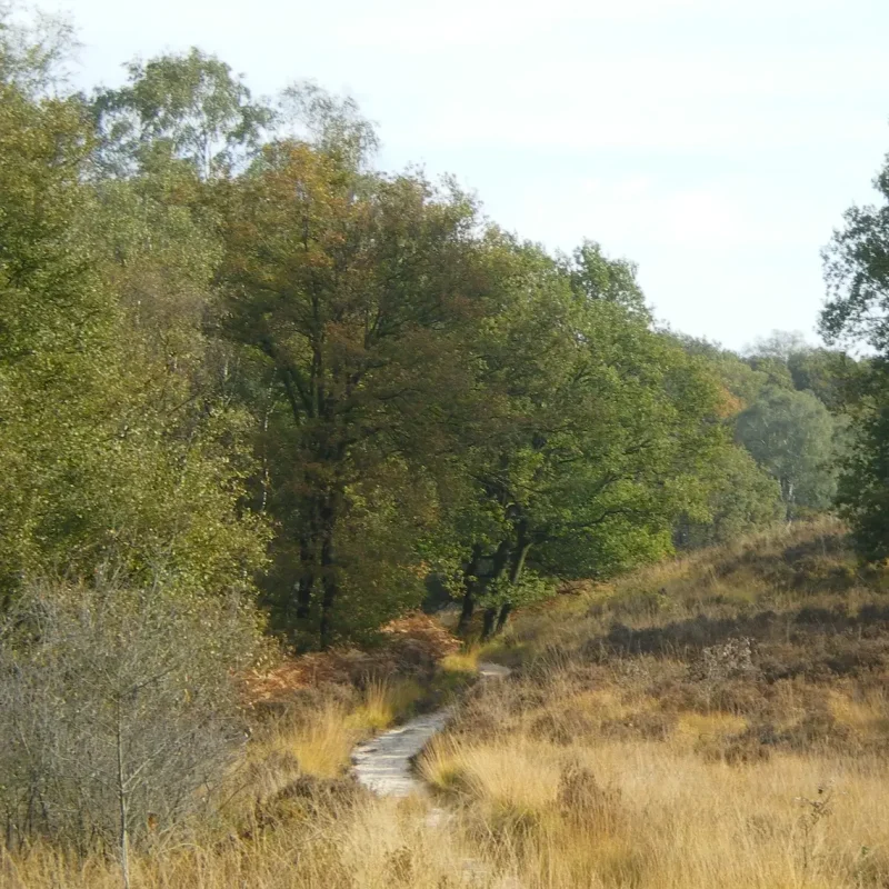 De Meinweg